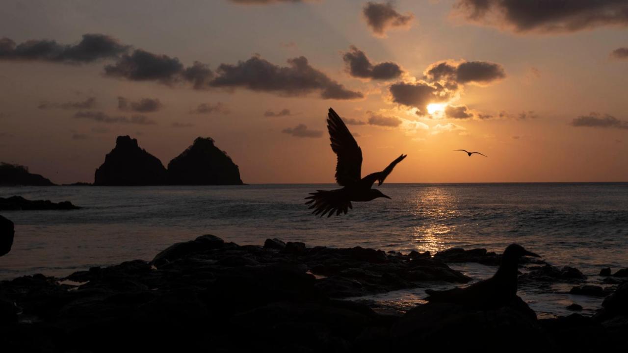 Pousada Naonda Fernando de Noronha Exteriér fotografie